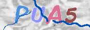 CAPTCHA bildīte